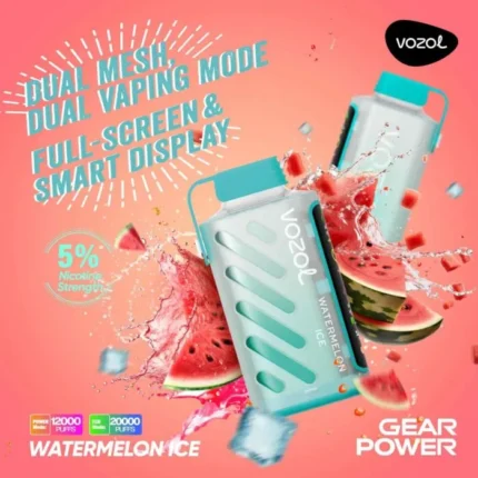 Vozol Gear Power 20000